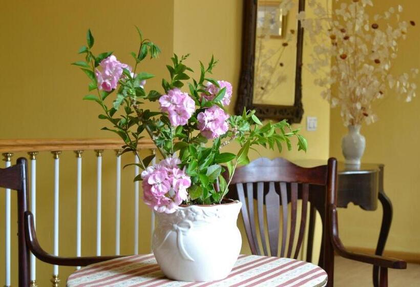 旅馆 Camping Al-bereka