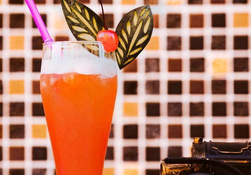 בית מלון כפרי Anik Palace