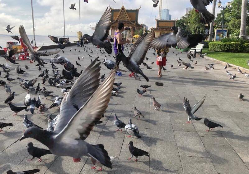 בית מלון כפרי Anik Palace