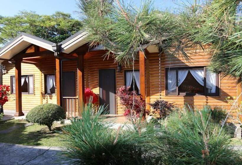 تختخواب و صبحانه Xitou Yun Zhuan Homestay