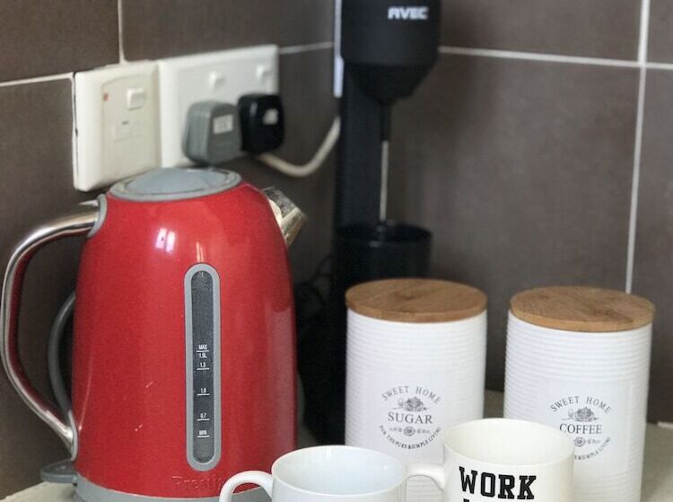 C.a.t Hostel Paphos Adult Only