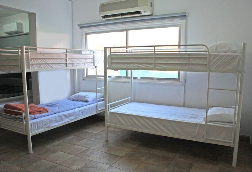 C.a.t Hostel Paphos Adult Only