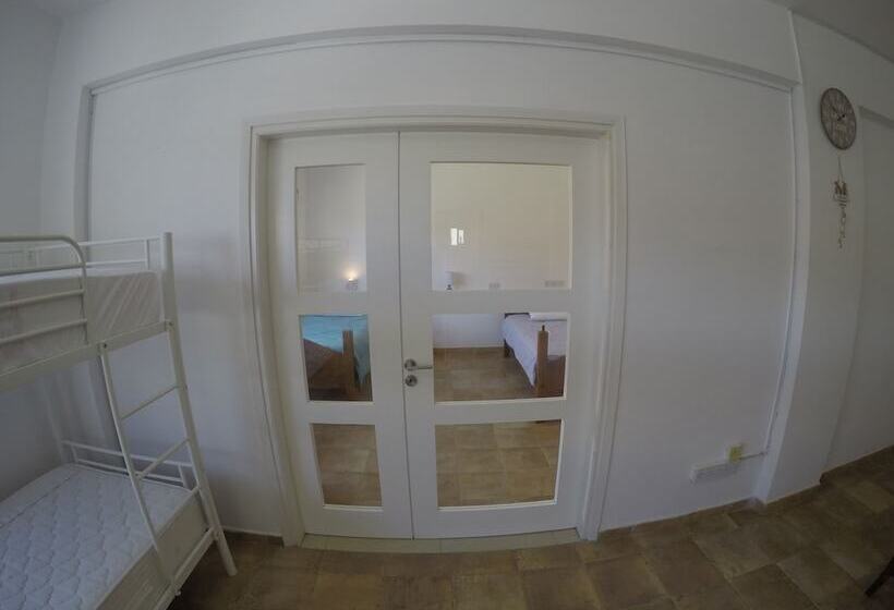 C.a.t Hostel Paphos Adult Only