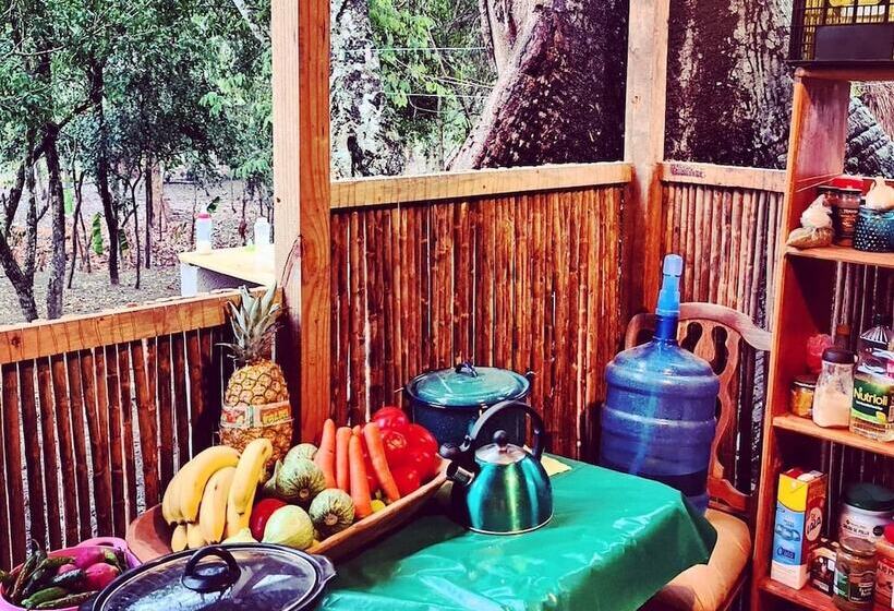 酒店 Cabañas Mannan