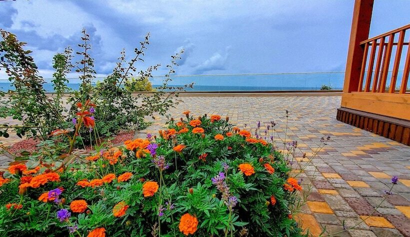 هتل Chayka Resort