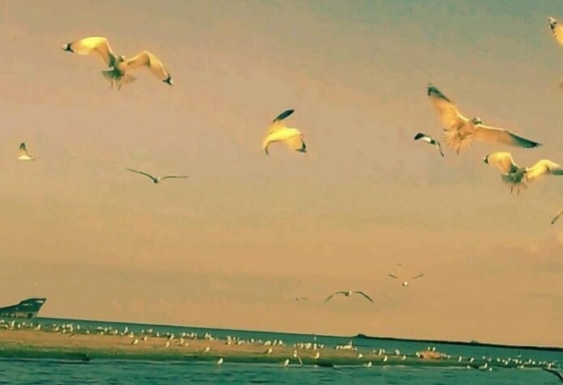 Отель Delta Palace