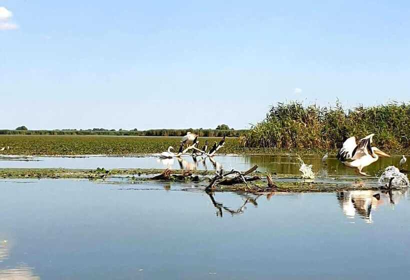 Отель Delta Palace