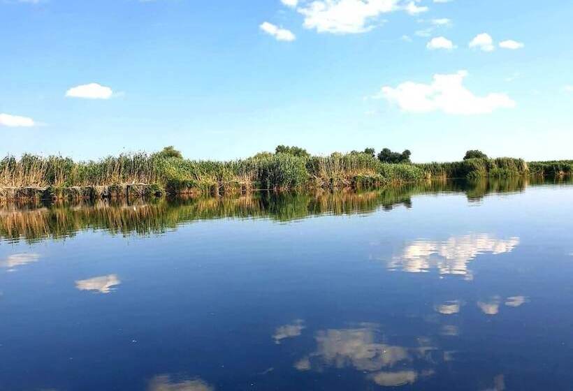 Отель Delta Palace