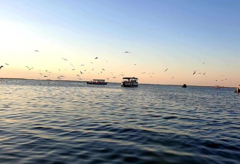 Отель Delta Palace