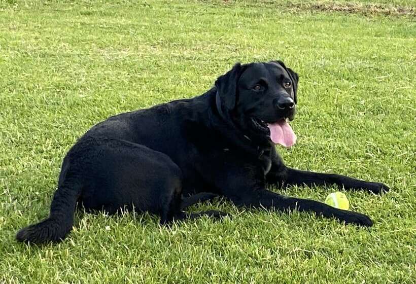 Отель George & Dragon Country House