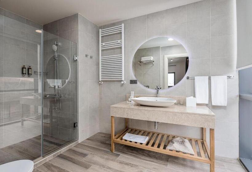 هتل Gudauri Lodge