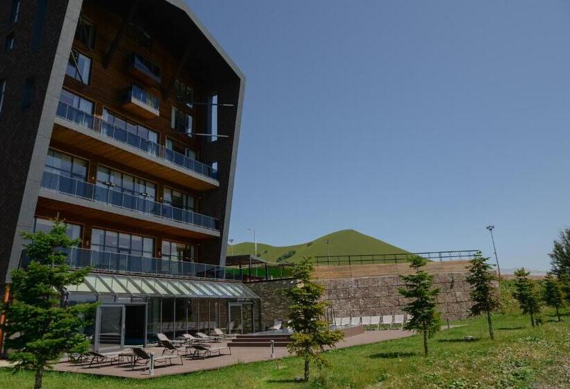 هتل Gudauri Lodge