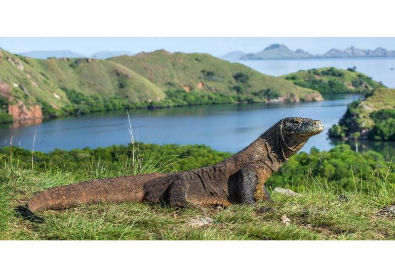 فندق Meruorah Komodo Labuan Bajo