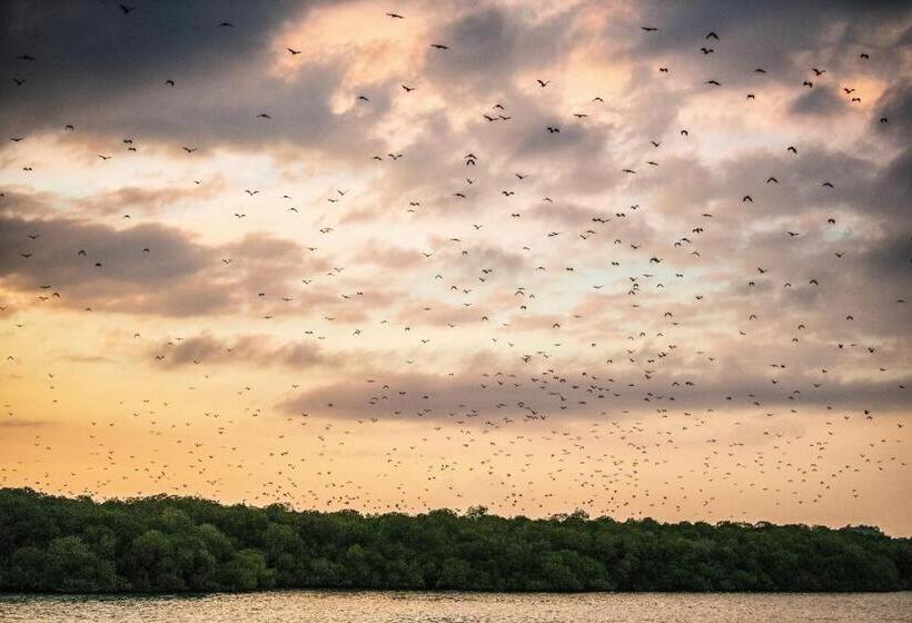فندق Meruorah Komodo Labuan Bajo
