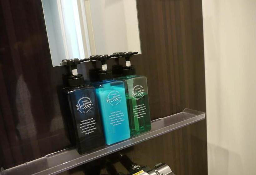 فندق Sandriver Ishigakijima