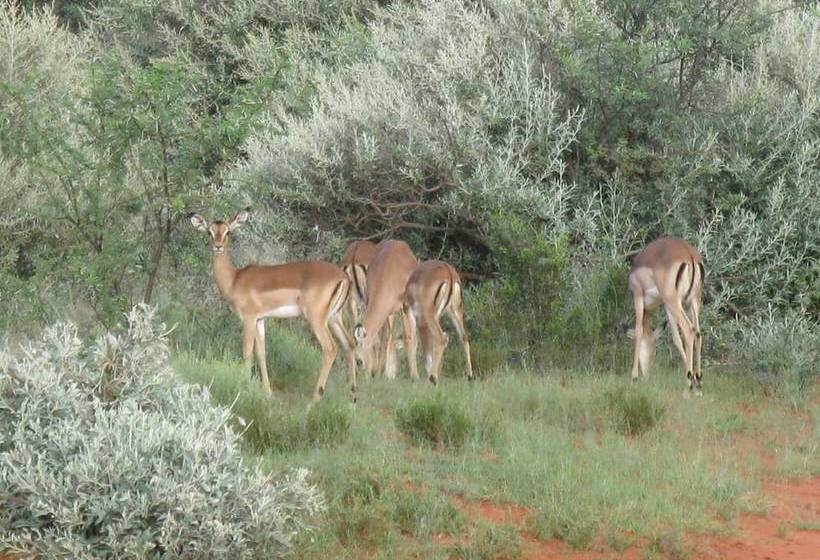 فندق Sisibala Game Farm