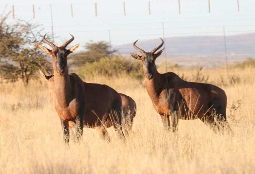 فندق Sisibala Game Farm