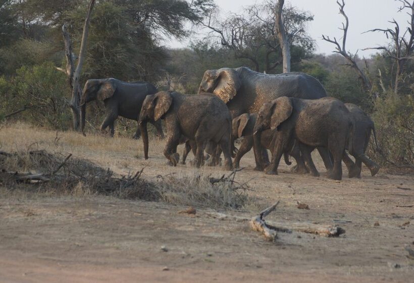 בית מלון כפרי The Wild Blue Lodge Safari & Spa