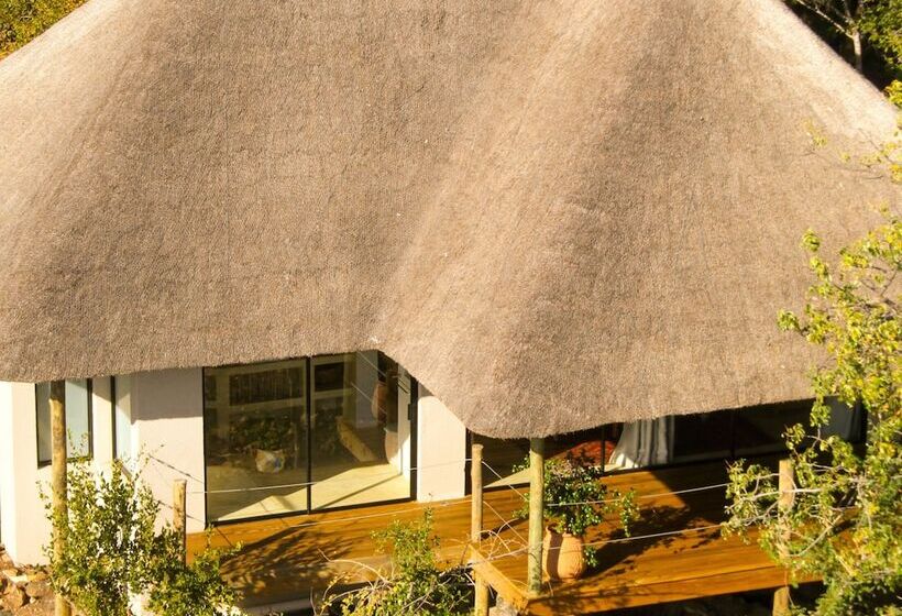 בית מלון כפרי The Wild Blue Lodge Safari & Spa