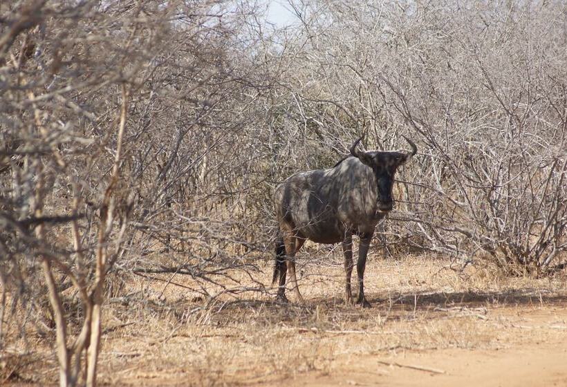 בית מלון כפרי The Wild Blue Lodge Safari & Spa