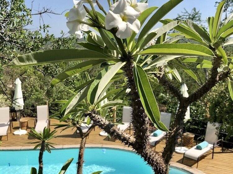 בית מלון כפרי The Wild Blue Lodge Safari & Spa