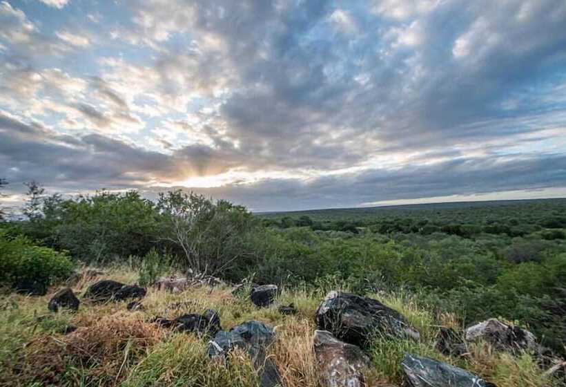 בית מלון כפרי The Wild Blue Lodge Safari & Spa