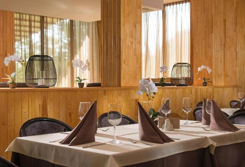 בית מלון כפרי Villa Magus