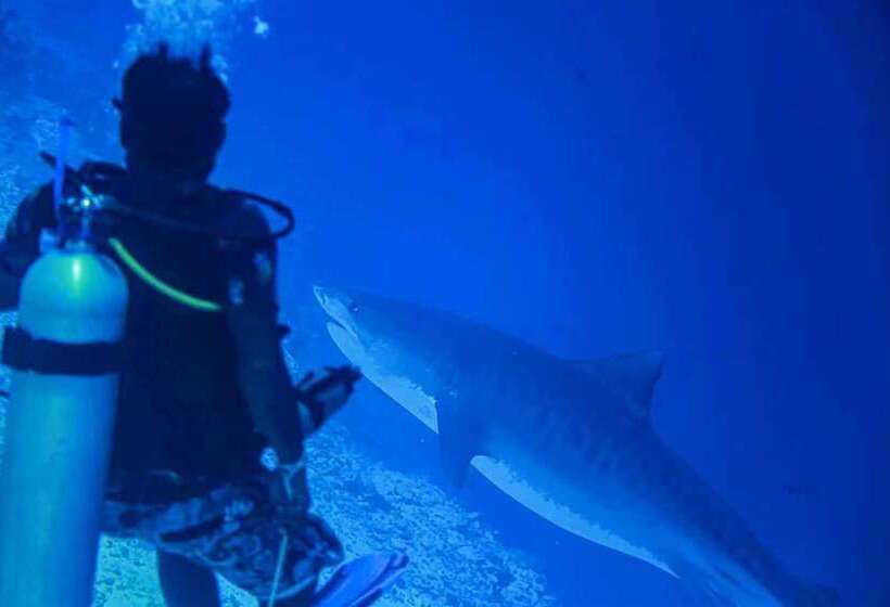 پانسیون Scuba Residence