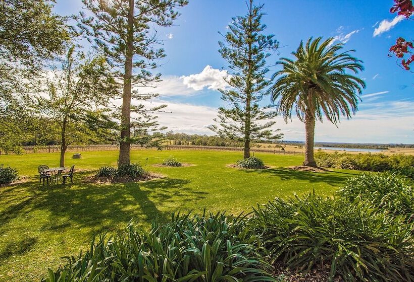 Cockfighters Ghost Vineyard