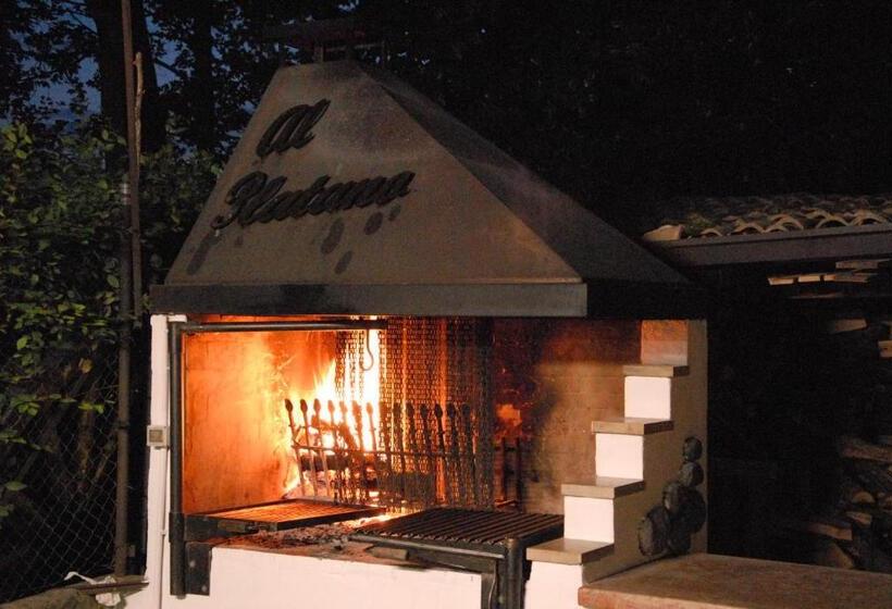 فندق Albergo Al Platano