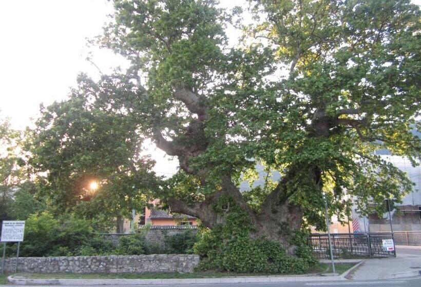 فندق Albergo Al Platano