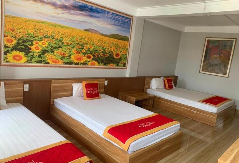 Candy Hotel Hạ Long