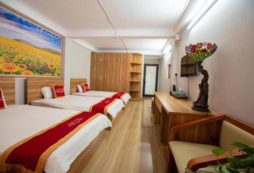 Candy Hotel Hạ Long