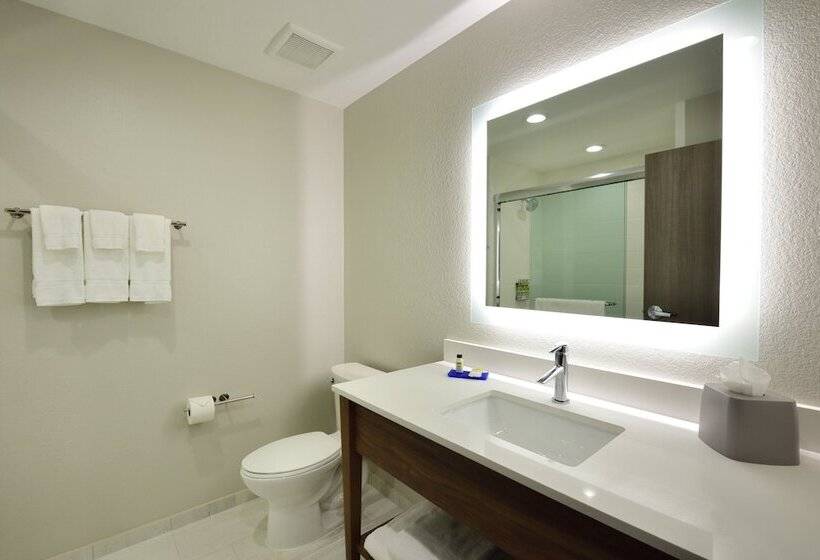 Отель Holiday Inn Express & Suites Spring   Woodlands Area, An Ihg