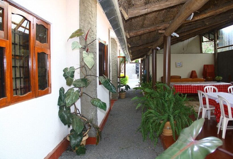 هتل Mama Simba Arusha Homebase