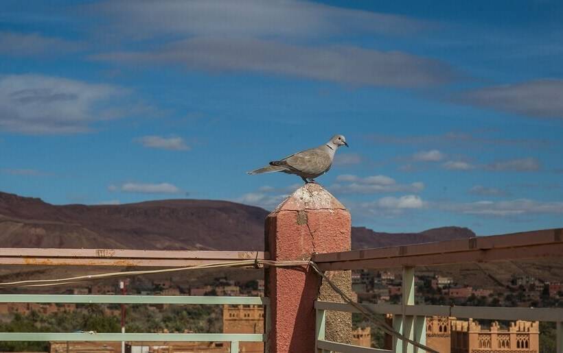 هتل Todra Centre De Tinghir