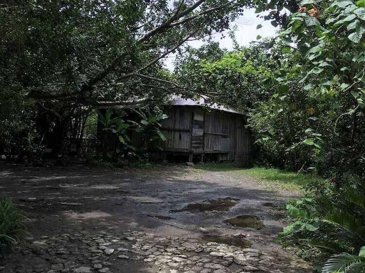 פנסיון Kami House