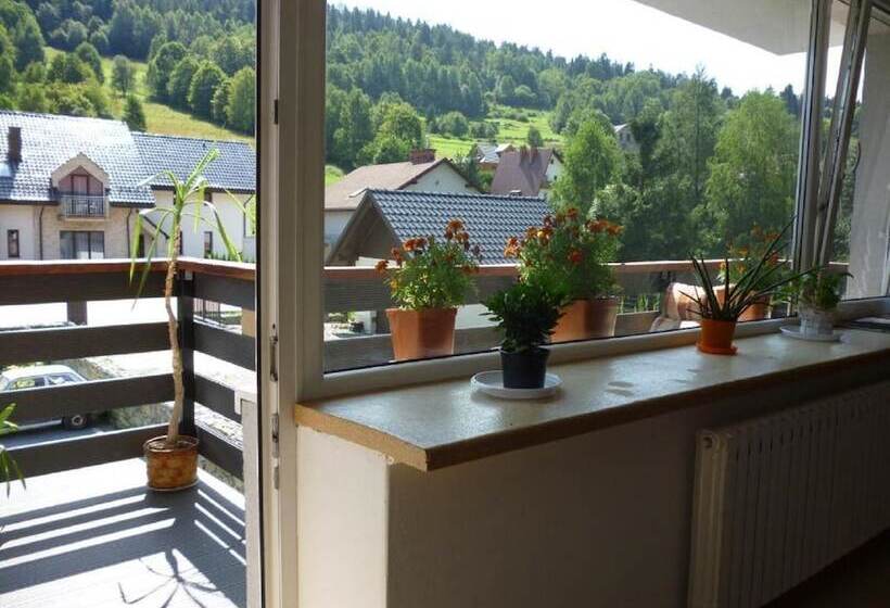 ペンション Willa Jacuu