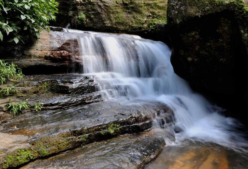 Royal Hotel By Oyo Rooms