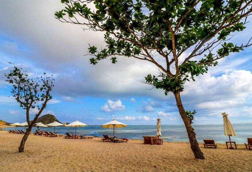 הוסטל Lamancha Homestay