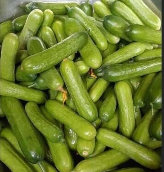 Общежитие The Willow Phangan