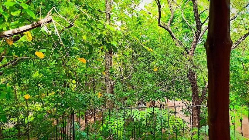 Fresco Lion Villa   Hostel