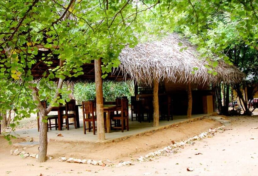 Fresco Lion Villa   Hostel