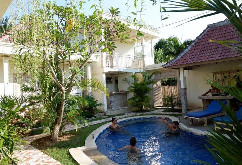 בית מלון כפרי Mango 5