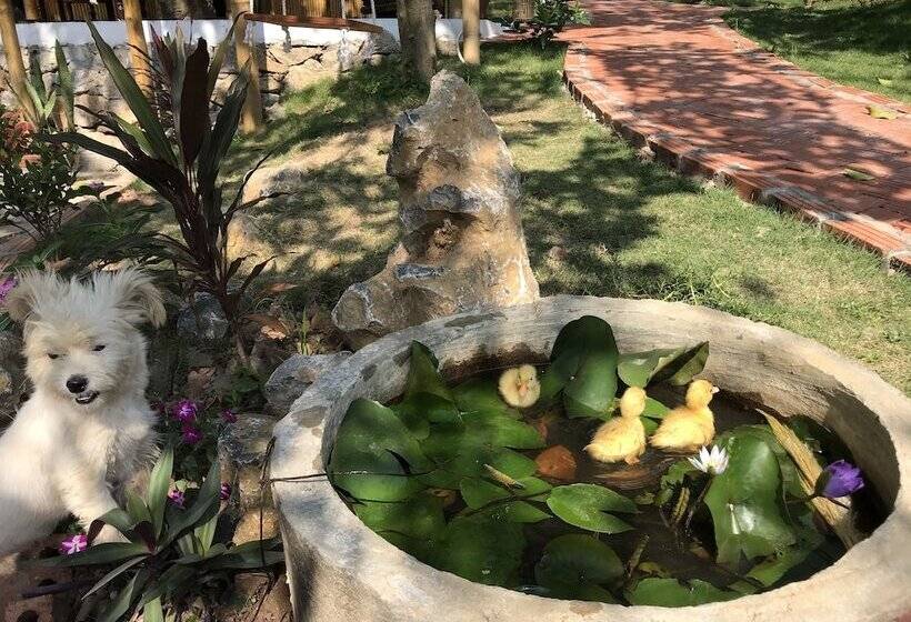 هتل Trang An Lamia Bungalow