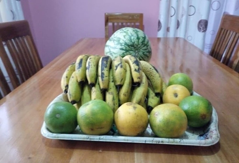 Kilimanjaro Green Homes & Camps  Hostel