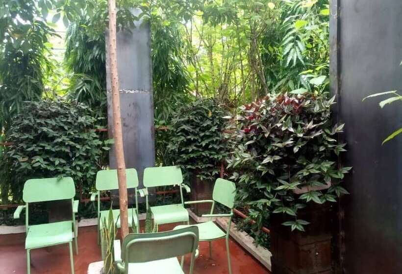 Kilimanjaro Green Homes & Camps  Hostel