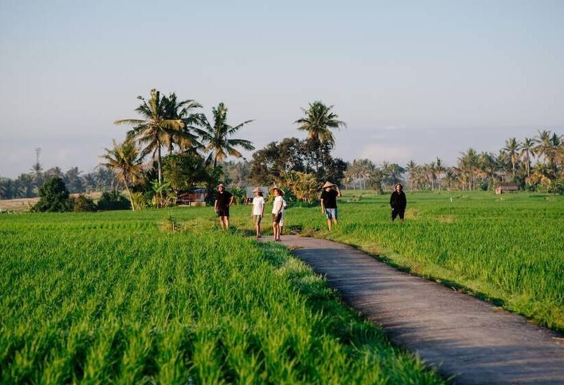 פנסיון Bakungan Dijero Homestay