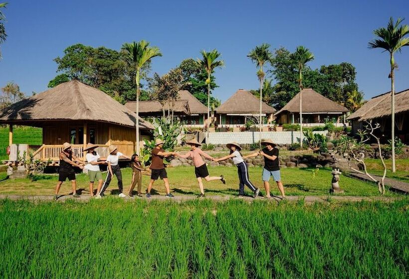 פנסיון Bakungan Dijero Homestay