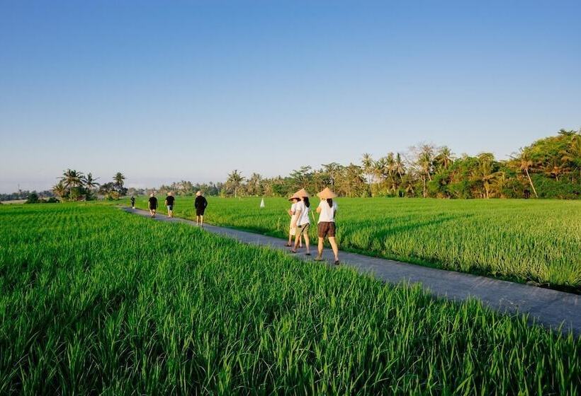 פנסיון Bakungan Dijero Homestay